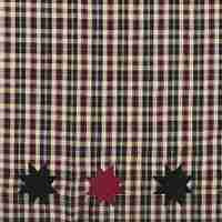Carson Star Shower Curtain