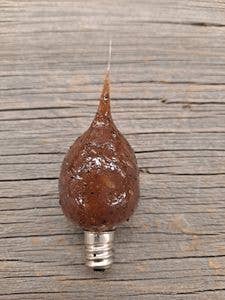 Cinnamon Spice Bulb (4 Watt)