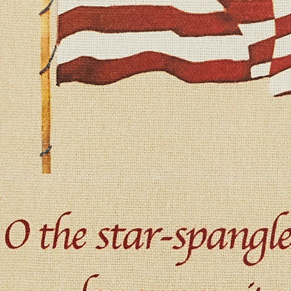 Star Spangled Embroidered Dishtowel
