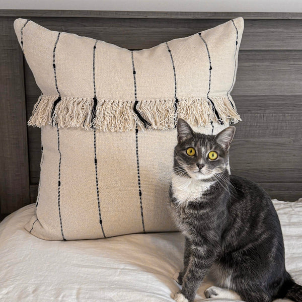 Farmcloth Stripe Fringed Euro Sham 26Lx26W