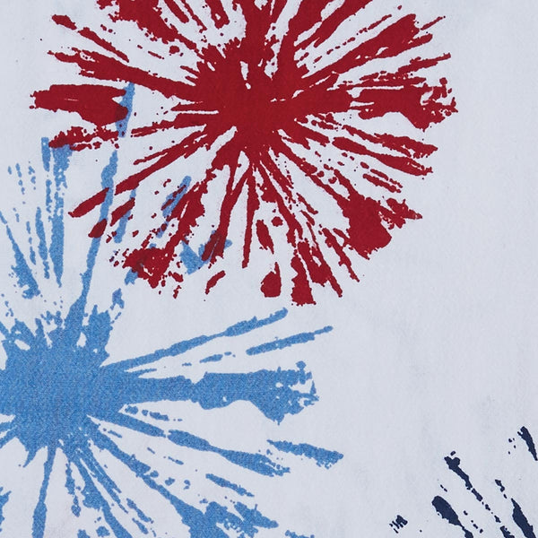 Fireworks Dishtowels (set of 2)