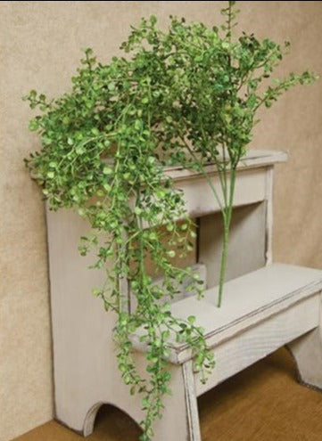 Hanging Baby's Grass Bush