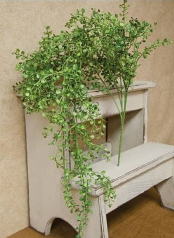 Hanging Baby's Grass Bush