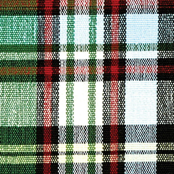 Happy Trails Placemat (set of 4)