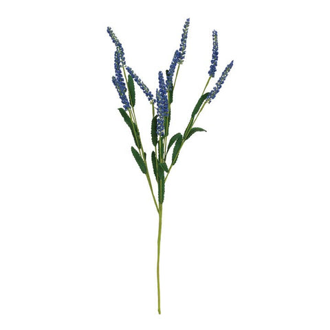 The Icker Spray is a decorative floral spray featuring a flexible green-wrapped stem. The spray displays foamy dark green leaves and tall clusters of petite cornflower-blue icker buds. Display this spray within a floral arrangement or on its own in a vase, bottle, or jar.