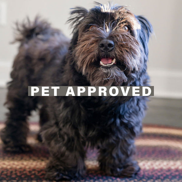 Prescott 20x30 Braided Jute Rug – Primitive Country Rectangle Accent