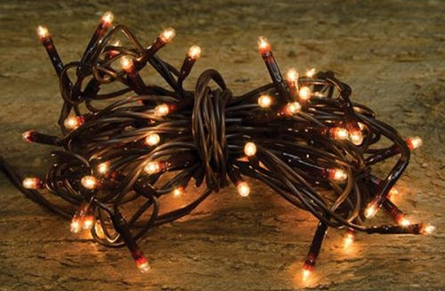 Add a warm farmhouse glow with Teeny Lights on brown cord. 50ct mini lights with a cozy white glow, perfect for shelves, wreaths, mantels, and primitive home décor.