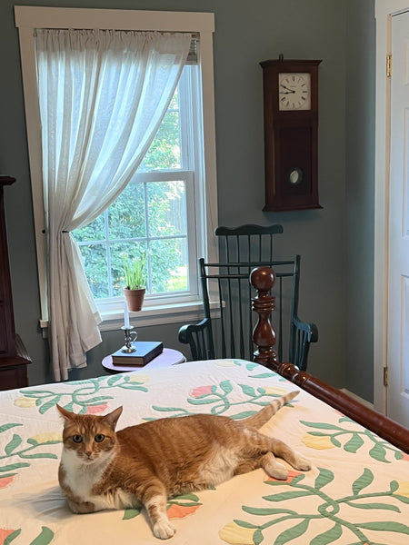 Burlap Antique White Short Panel Set of 2 63x36